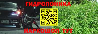 МДПВ Обнинск