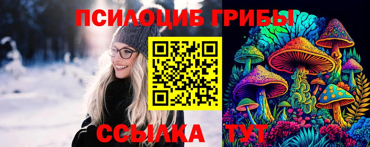 Тольятти  сколько стоит  Галлюциногенные грибы Psilocybe  Вход с VPN  Галлюциногенные грибы Cubensis 